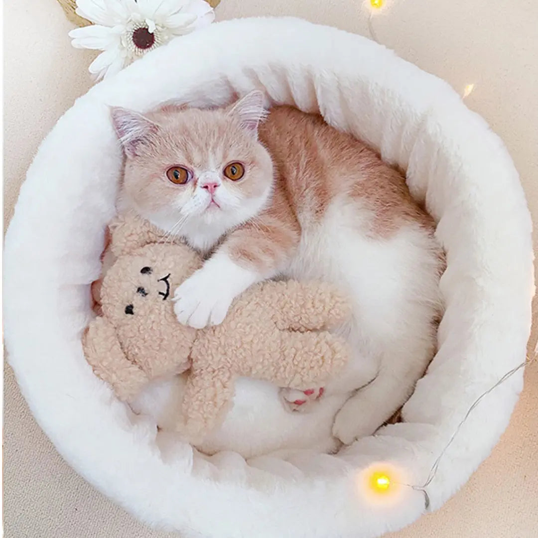 Japanese Style Cat Bed Cozy Cat House Pet Furniture