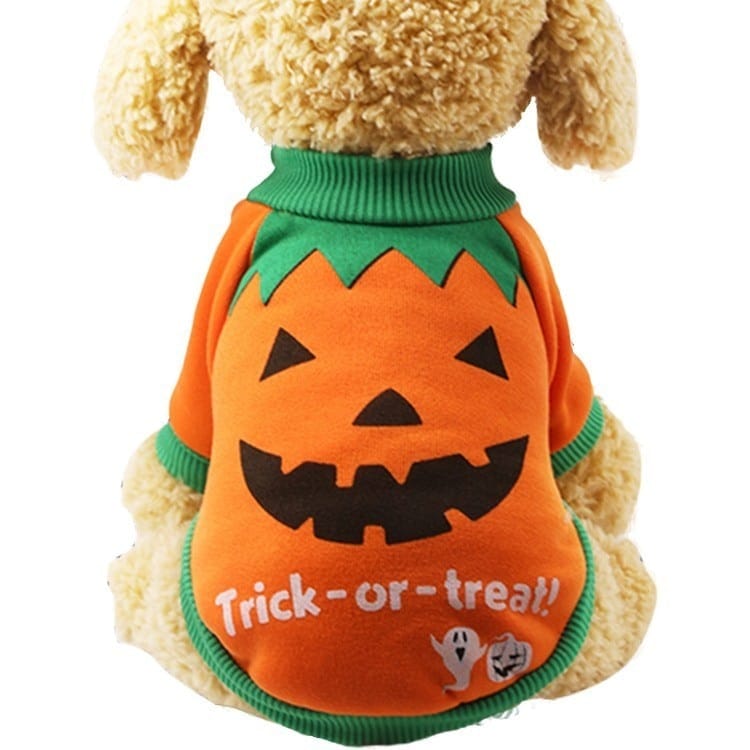 Halloween Dog Sweatshirt
