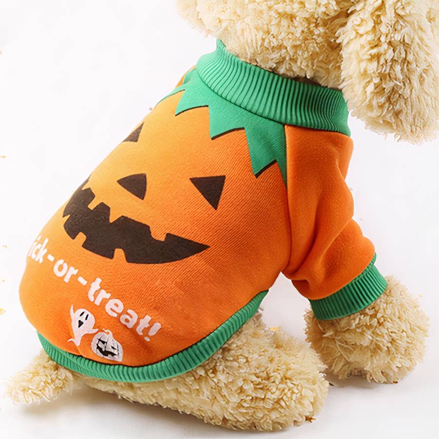 Halloween Dog Sweatshirt
