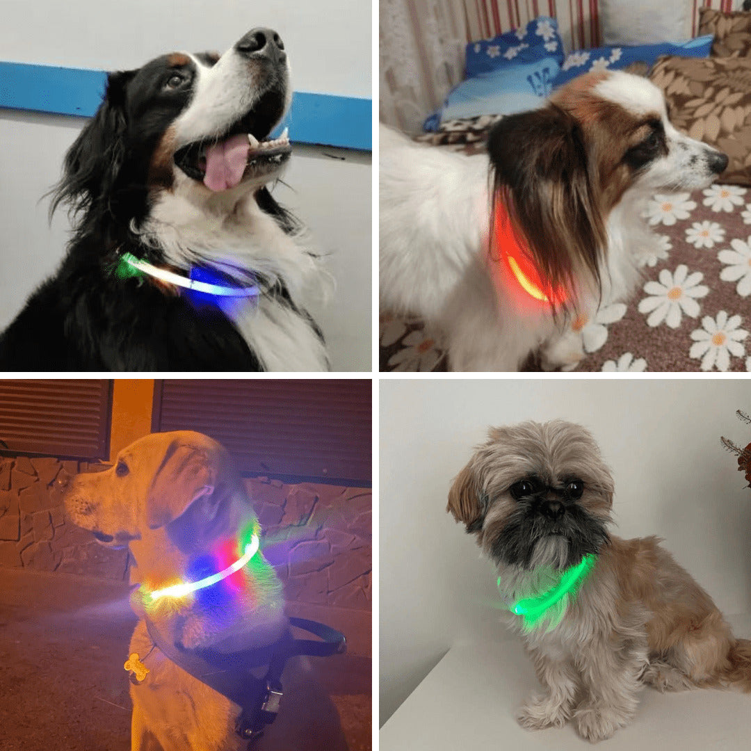 LED Dog Collar Safe Visible Light Up Pet Collar for Night Walks