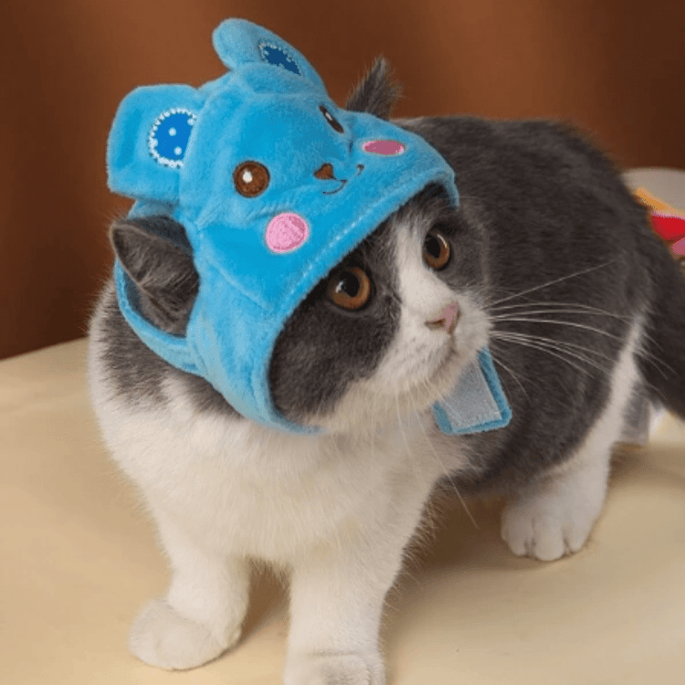 Animal Shaped Cat Hat Cute Pet Costume Accessory