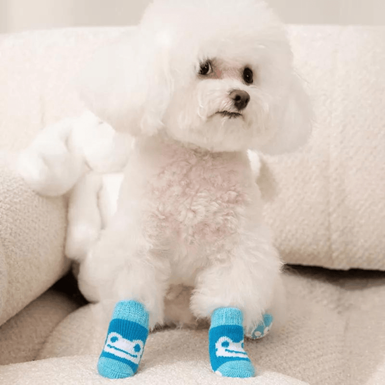 Dog Socks Blue Frog Pattern Non Slip Pet Socks for Puppies and Small Dogs