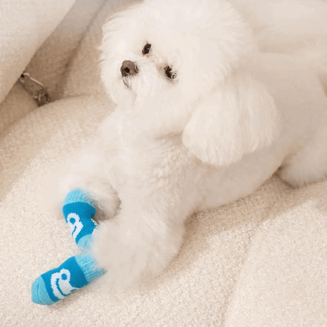 Dog Socks Blue Frog Pattern Non Slip Pet Socks for Puppies and Small Dogs