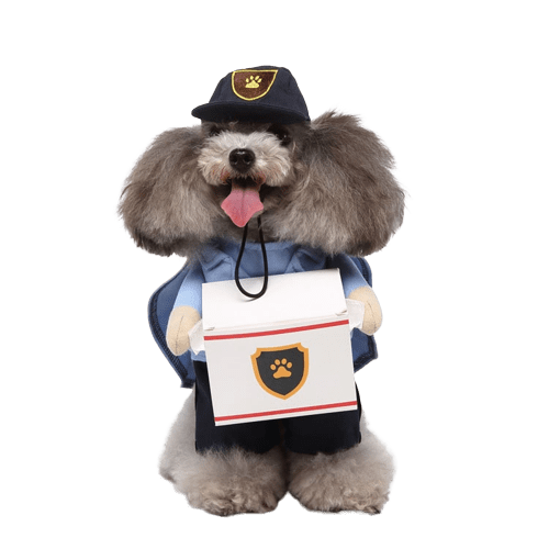 Delivery Driver Costume for Cat and Dog Pet Outfit