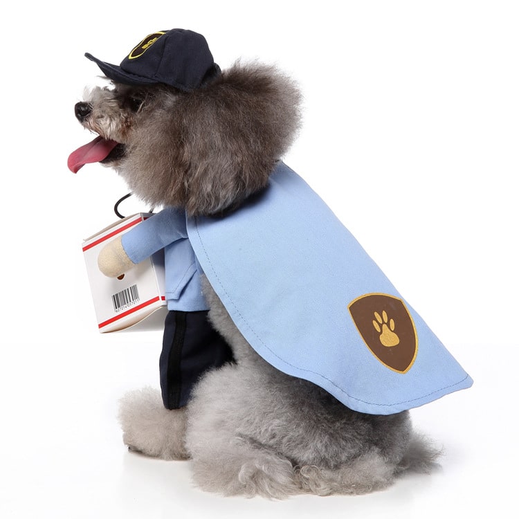 Delivery Driver Costume for Cat and Dog Pet Outfit