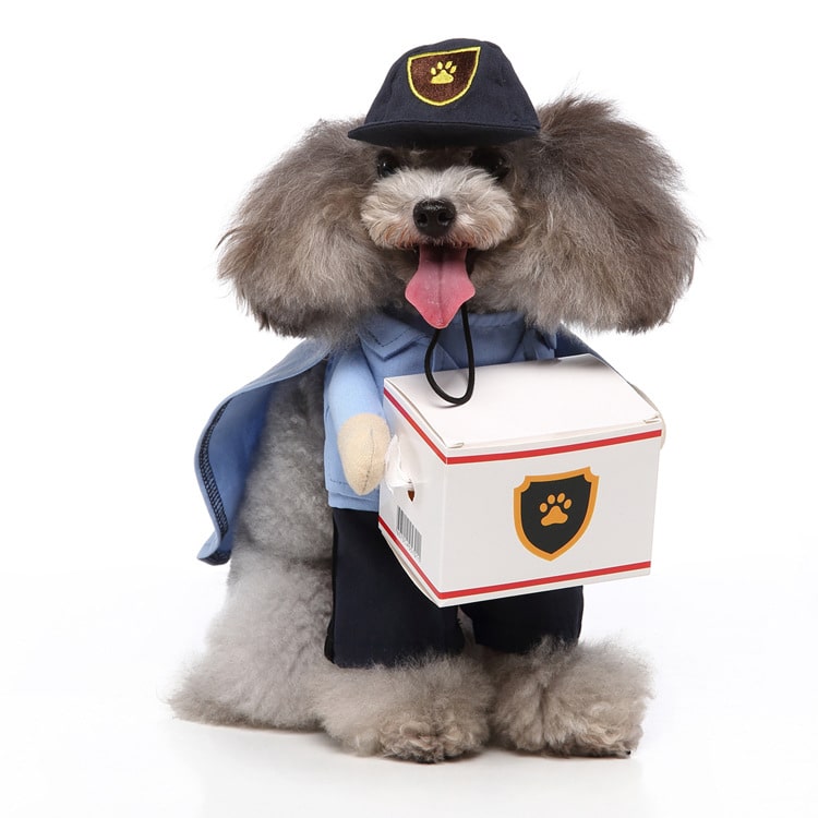 Delivery Driver Costume for Cat and Dog Pet Outfit