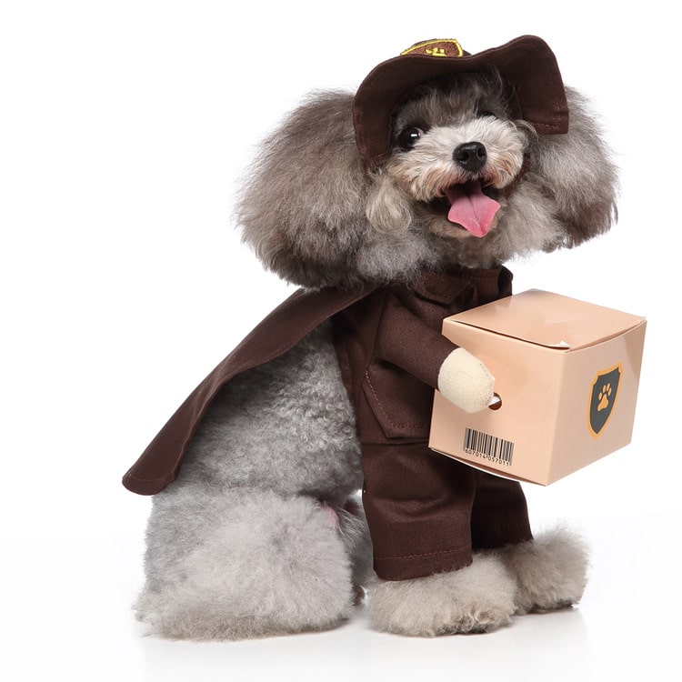 Pet Costume for Cats and Dogs Delivery Driver Outfit