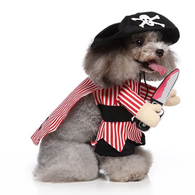 Pet Costume for Cats and Dogs Pirate Dress Up