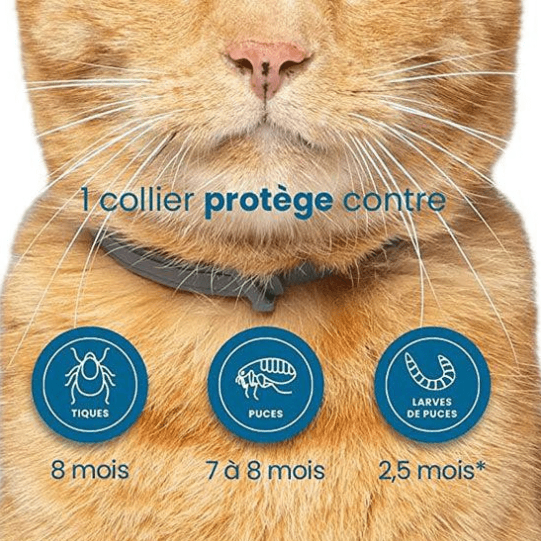 Natural Flea and Tick Collar for Dogs and Cats Pest Protection