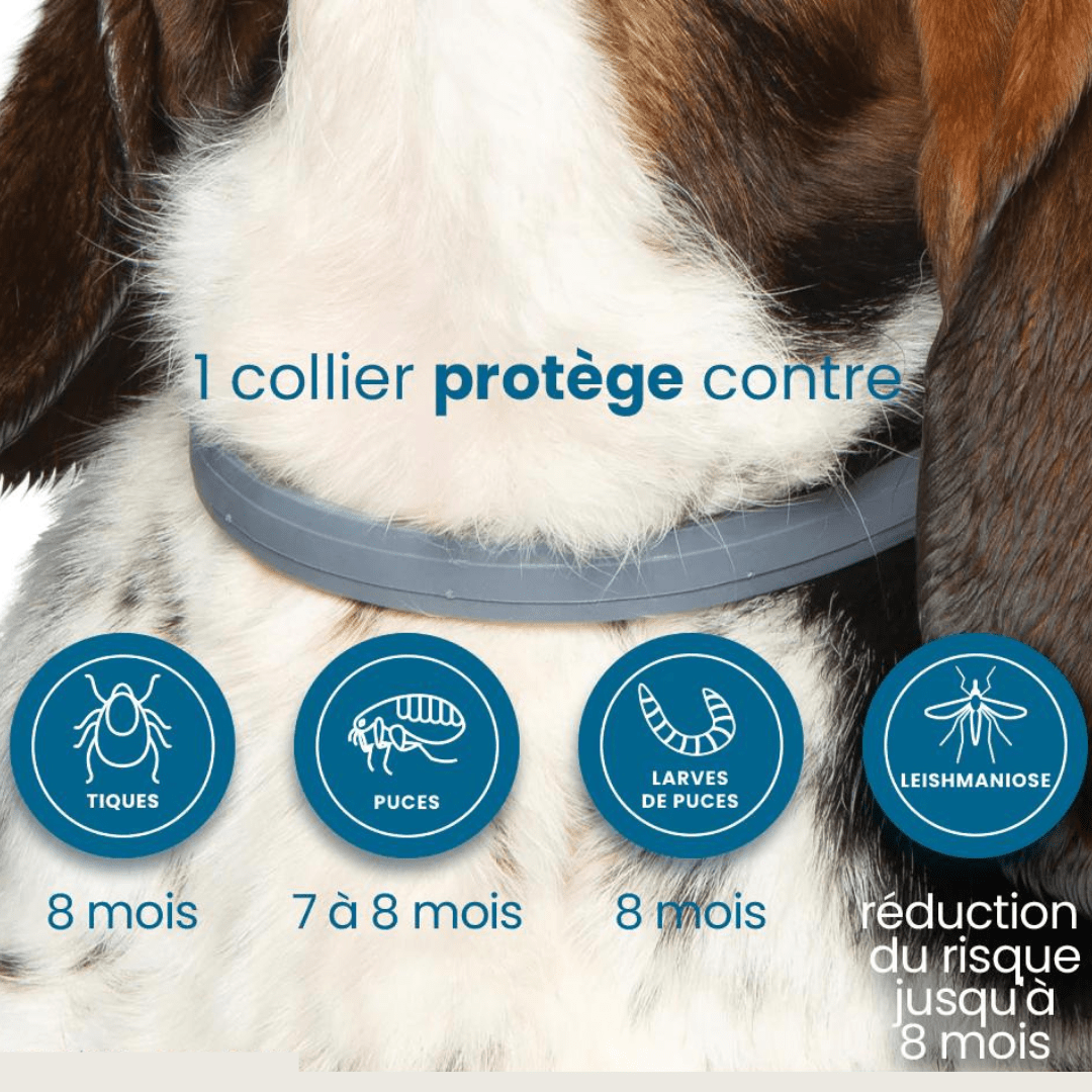 Natural Flea and Tick Collar for Dogs and Cats Pest Protection