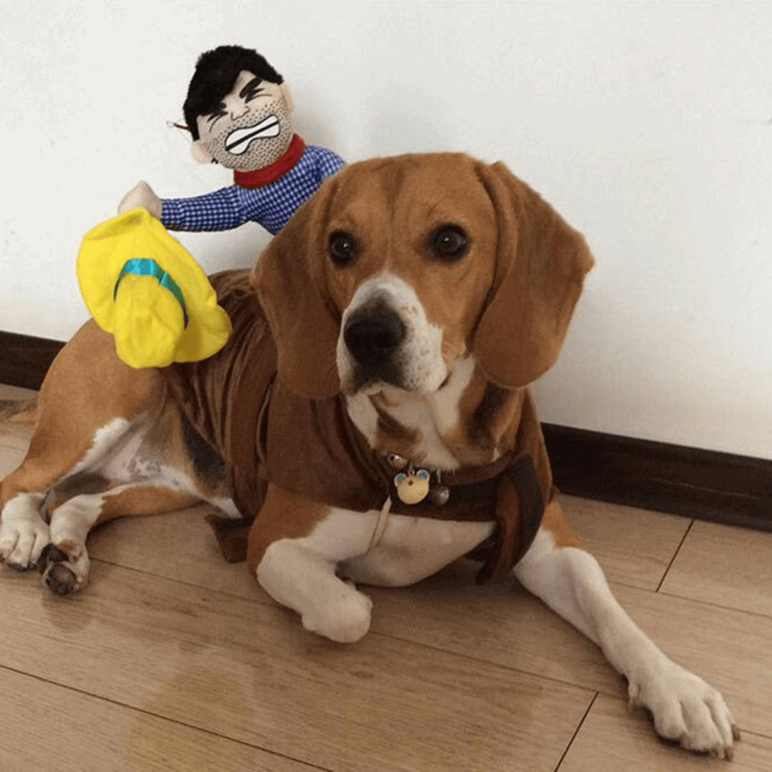 Pet Costume for Dogs and Cats Rodeo Outfit