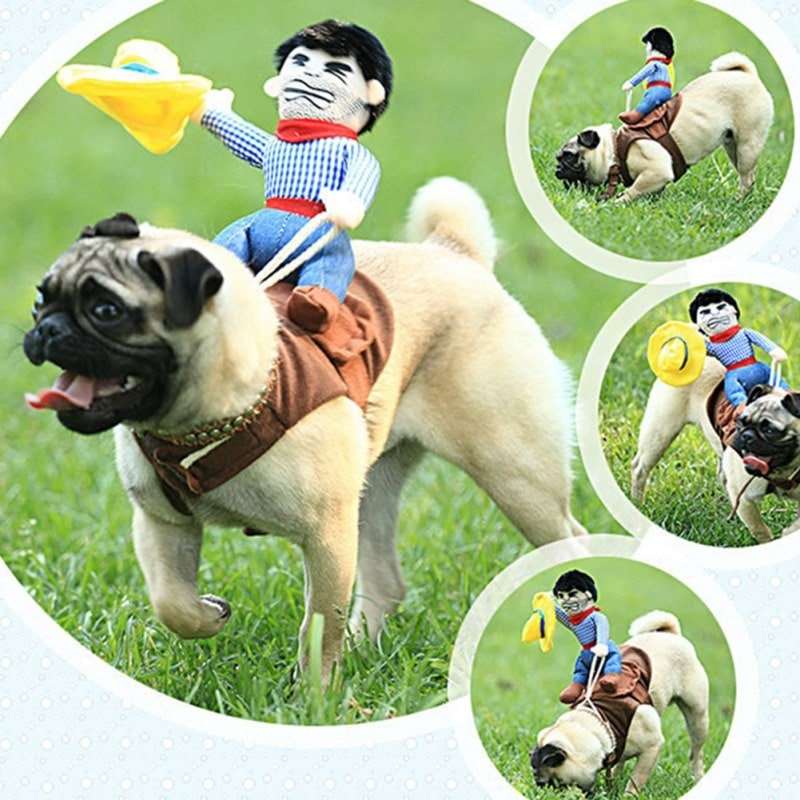 Pet Costume for Dogs and Cats Rodeo Outfit