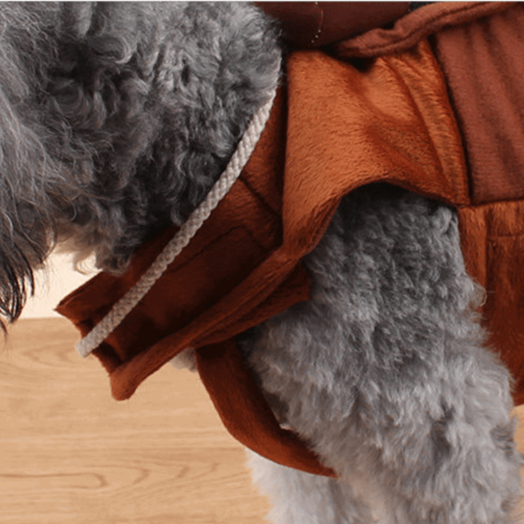 Pet Costume for Dogs and Cats Rodeo Outfit