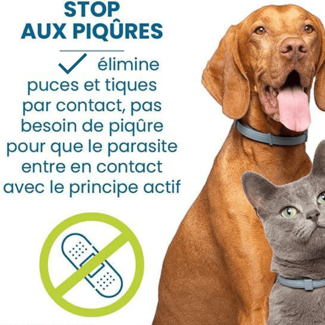 Natural Flea and Tick Collar for Dogs and Cats Pest Protection