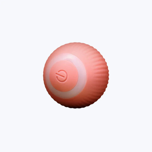 Interactive Cat Ball Toy