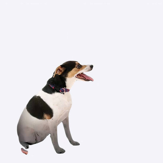 Car Dog Barrier Adjustable Vehicle Pet Safety Guard Divider
