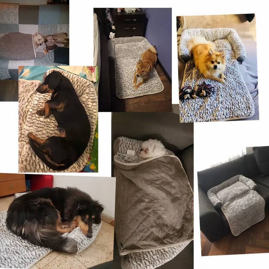 Soft and Cozy Dog Couch Bed