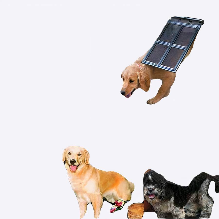 Pet Door for Dogs and Cats Automatic Flap Small Medium Large Sizes