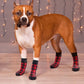 Non Slip Plaid Dog Slippers for Indoor Pets
