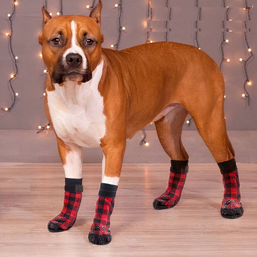 Non Slip Plaid Dog Slippers for Indoor Pets