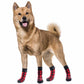 Non Slip Plaid Dog Slippers for Indoor Pets