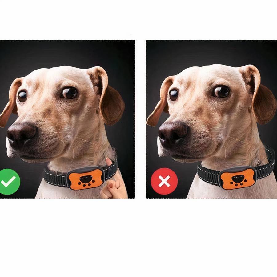 Dog Paw Pattern Anti Bark Collar Adjustable Bark Control Training Device