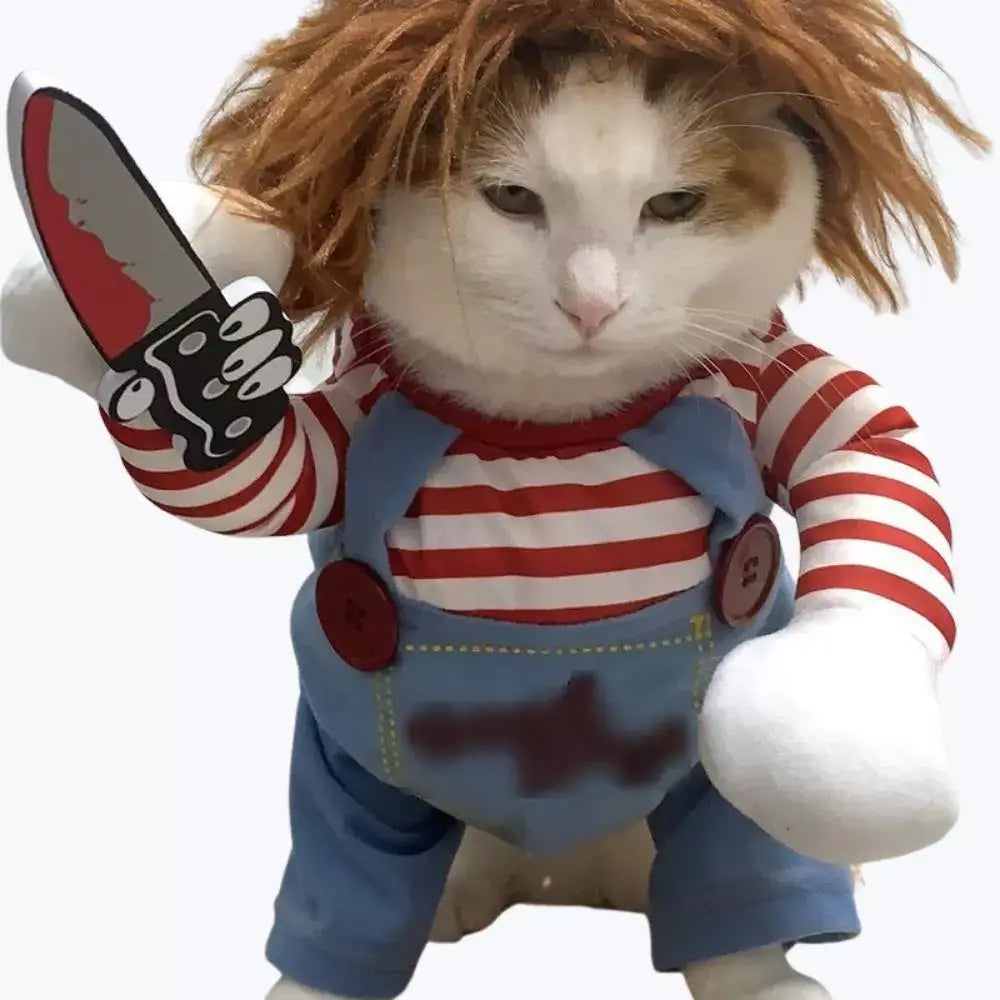 Chucky Halloween Cat Costume for Kids and Adults