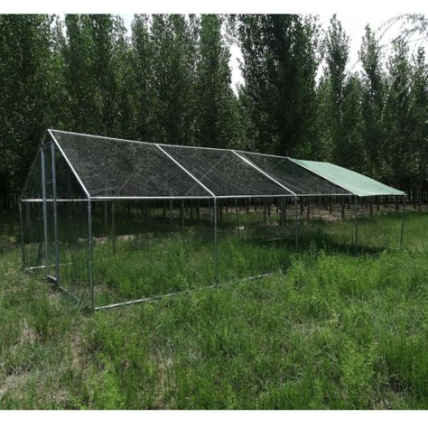 Chicken Run Enclosure 344sqft 38mm Wire 8x4x2.8ft Galvanized Steel Coop Pen