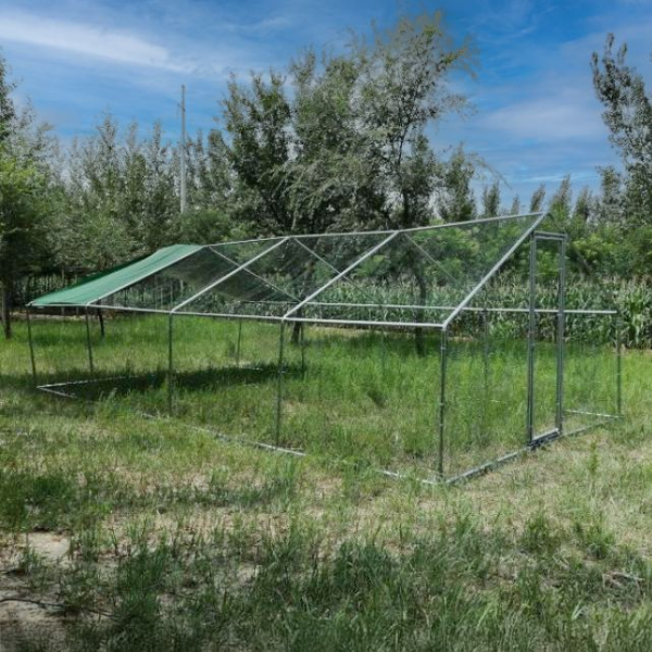 Chicken Run Enclosure 344sqft 38mm Wire 8x4x2.8ft Galvanized Steel Coop Pen