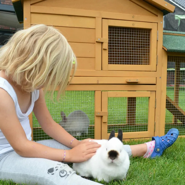 Rabbit Hutch with Cage - 57x21x34 Inch Bunny Enclosure - Rabbit Villa House