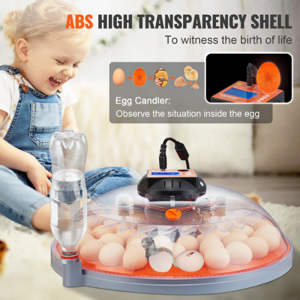 Automatic Egg Incubator with Auto Turn Function - 48 Eggs Capacity - Temperature and Humidity Control