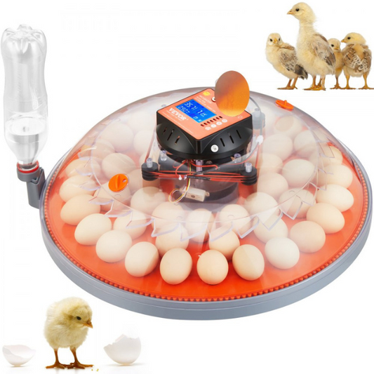 Automatic Egg Incubator with Auto Turn Function - 48 Eggs Capacity - Temperature and Humidity Control