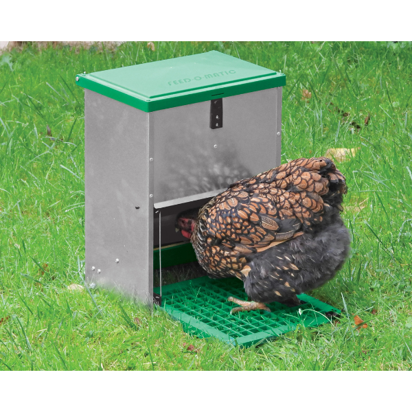 Automatic Adjustable Chicken Feeder 5kg Pest Proof Livestock Feed Dispenser