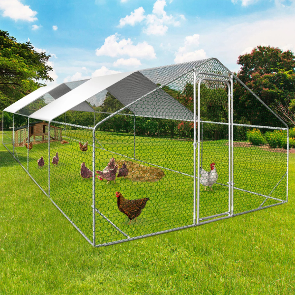 Chicken Coop Run Enclosure 258 Sq Ft Galvanized Steel Chicken Pen