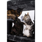 Giant XXL Cat Tree 19 Inch by 69 Inch Tall Cat Tower with Multiple Levels and Scratching Posts