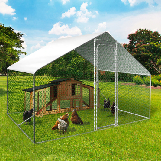 Chicken Coop Run 65 Sq Ft Wire Mesh Enclosure 3x2 ft Galvanized Steel Yard Pen