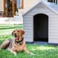 Beige and Brown Plastic Dog House 39 x 37 x 39 inches Durable Outdoor Dog Kennel Shelter