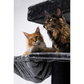 Giant XXL Cat Tree 19 Inch by 69 Inch Tall Cat Tower with Multiple Levels and Scratching Posts