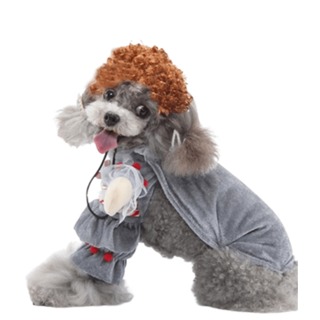 Flu Virus Costume for Cats and Dogs Pet Halloween Outfit