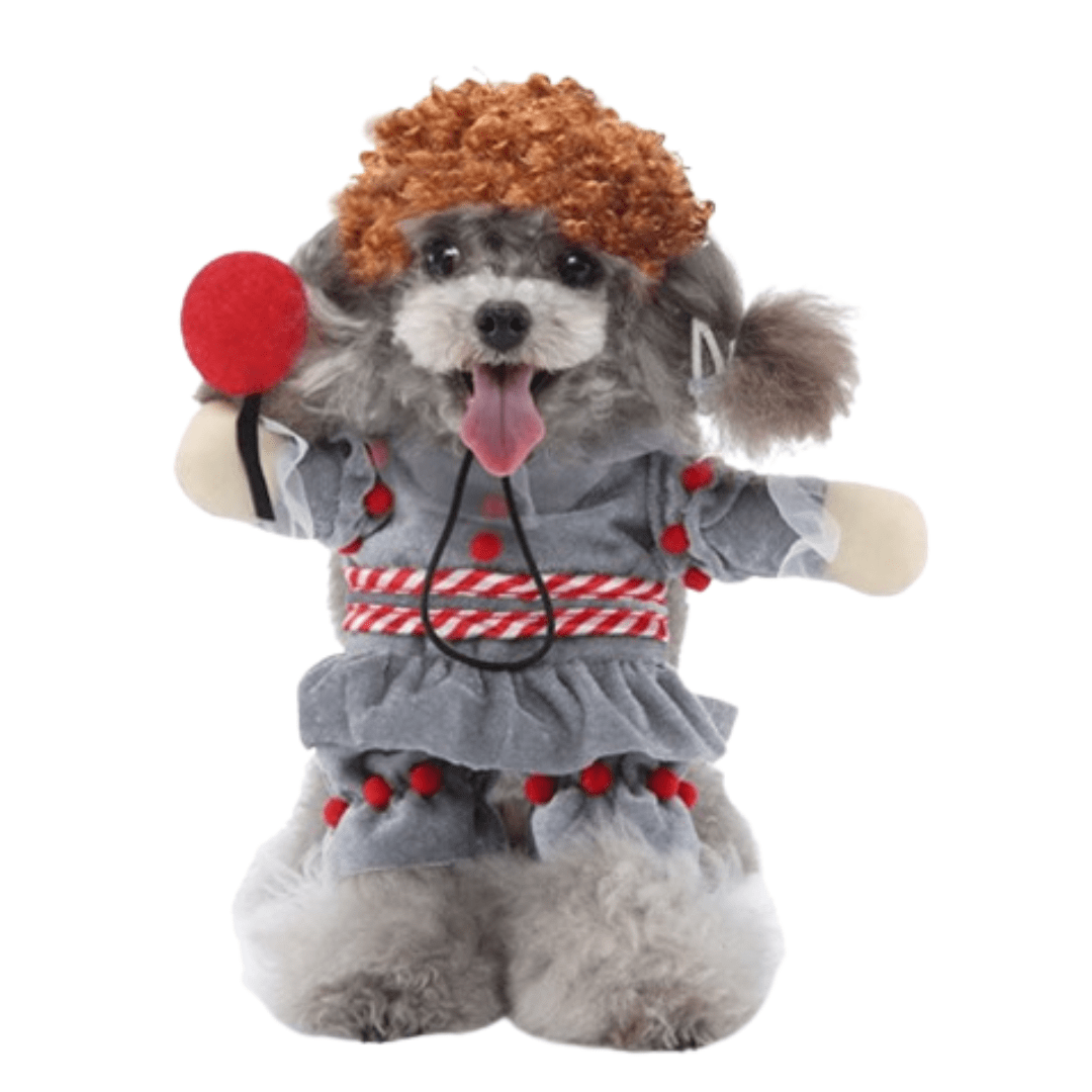 Flu Virus Costume for Cats and Dogs Pet Halloween Outfit