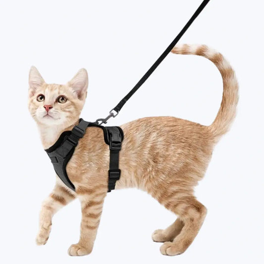 Escape Proof Cat Harness Adjustable No Escape Kitty Harness for Outdoor Safety