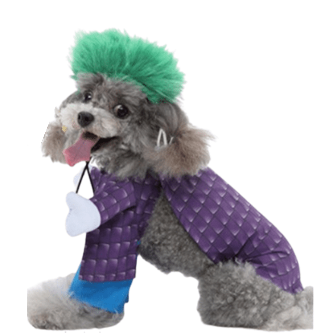Pet Costume for Dogs and Cats Joker Outfit