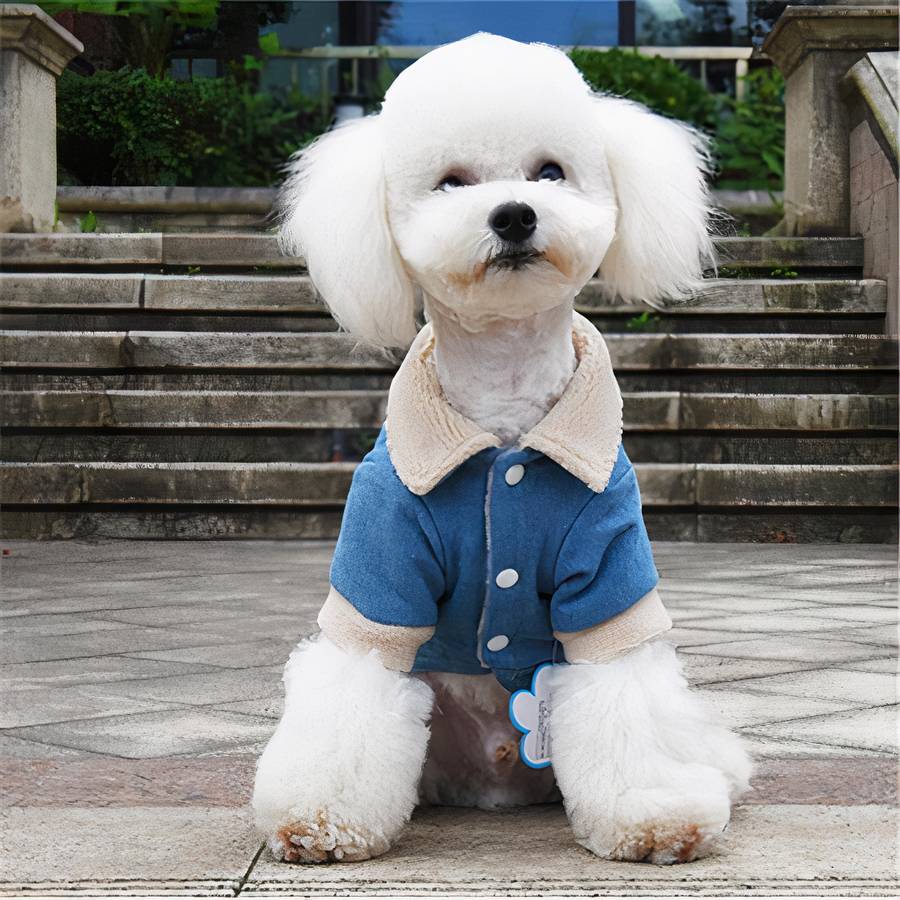 Winter Denim Dog Coat Warm Jacket for Small Medium Large Dogs