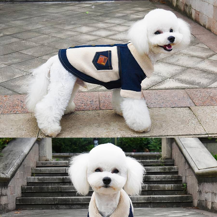 Winter Denim Dog Coat Warm Jacket for Small Medium Large Dogs