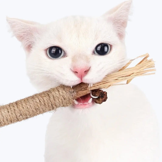 Matatabi Cat Dental Care Natural Toothpaste for Cats