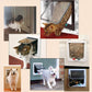 Dog Flap Door Pet Door for Dogs Easy Install Durable Doggie Door