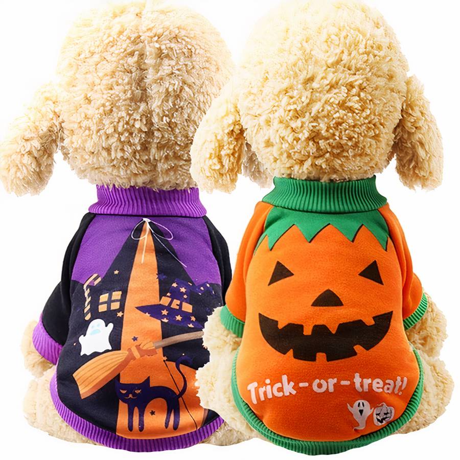 Halloween Dog Sweatshirt