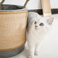 Cat Scratching Mat Scratch Pad for Cats Durable Kitty Scratcher Carpet