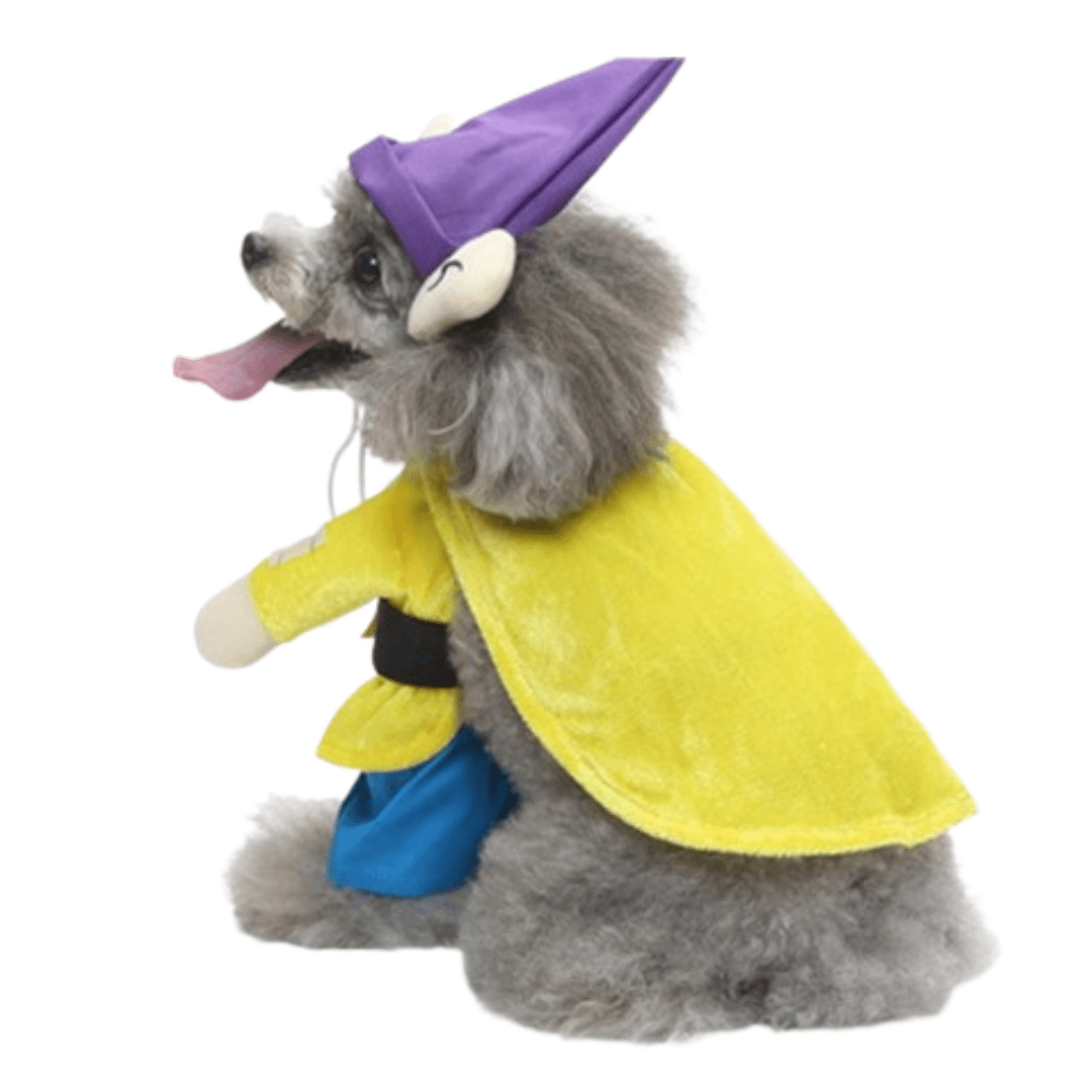Simple Dog and Cat Costume Fun Animal Outfit Pet Dress Up
