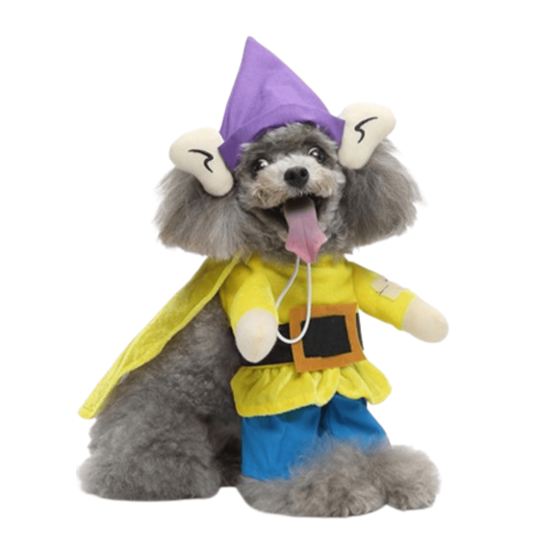 Simple Dog and Cat Costume Fun Animal Outfit Pet Dress Up